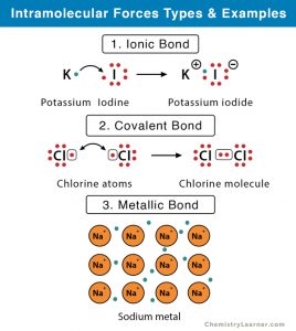 Intramolecular Forces: Definition, Types, and Examples