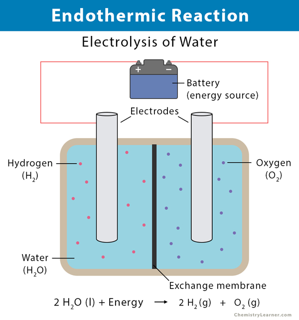 endothermic and exothermic reaction graph