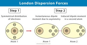 London Dispersion Forces 300x157 