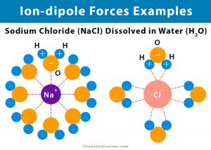 Ion-dipole Forces (Interaction): Definition and Examples