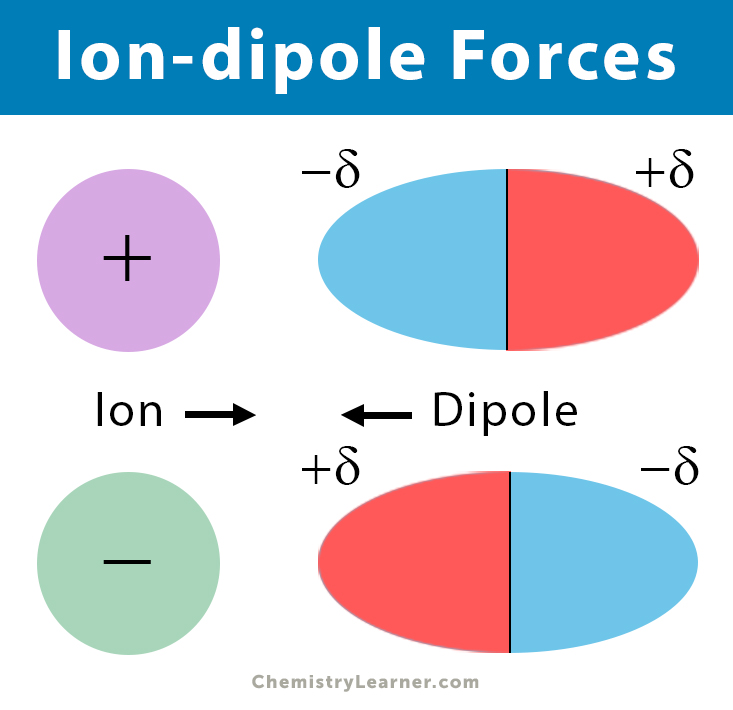Ion Dipole Examples Of Molecules