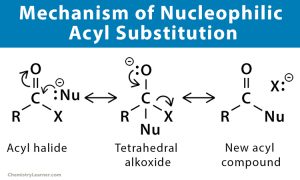 Nucleophilic Acyl Substitution: Definition, Example & Mechanism