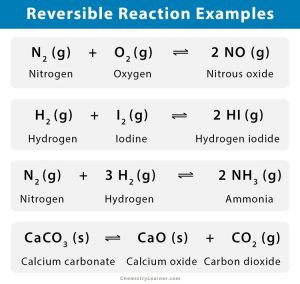 Reversible Reaction: Definition, Conditions, And Examples