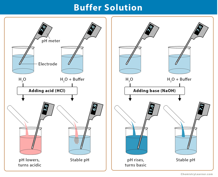 assignment of buffer solution