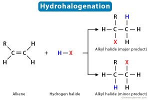 Hydrohalogenation: Definition, Examples, and Mechanism