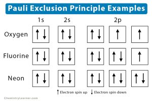 Pauli Exclusion Principle: Statement, Examples, and Diagrams