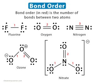 Bond Order: Definition, Formula, and Examples