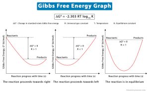 Gibbs Free Energy: Definition, Equation, Unit, and Example