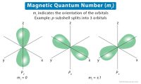 Magnetic Quantum Number: Definition, Symbol, and Value