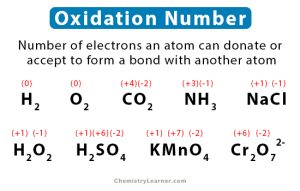 Oxidation Number (State): Definition, Rules, How to Find, and Examples