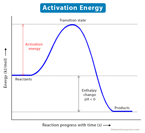 Diagram representing catalyst lowering the activation energy thereby