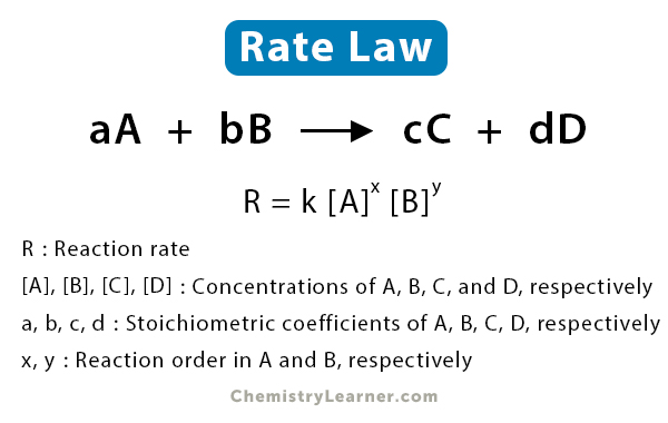 rate law assignment