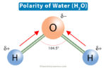 Properties of Water