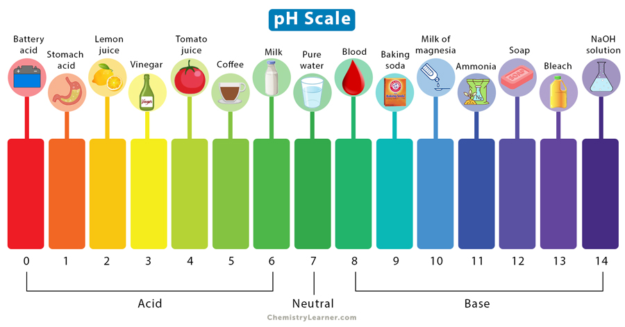 ph scale examples
