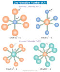 Coordination Number: Definition And Examples