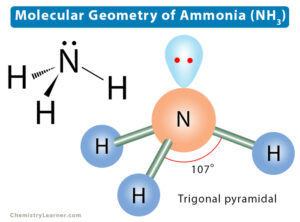 Molecular Geometry, Lewis Structure, & Bond Angle of Ammonia