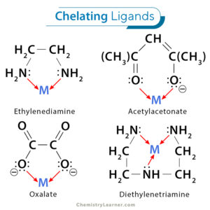 Ligands: Definition, Types, and Examples