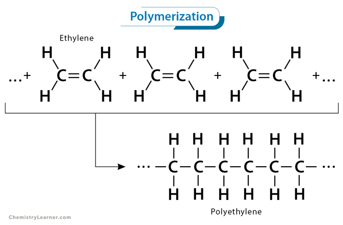 polymers types