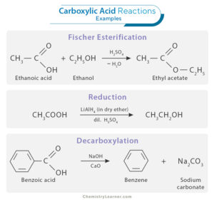 Carboxylic Acid Definition Examples Synthesis And Reactions