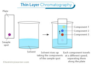 Chromatography: Definition, Principles, Types, and Applications