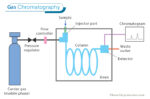 Gas Chromatography: Definition, Purpose, Detection, & Uses