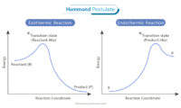 Hammond Postulate: Statement, Structure, And Applications