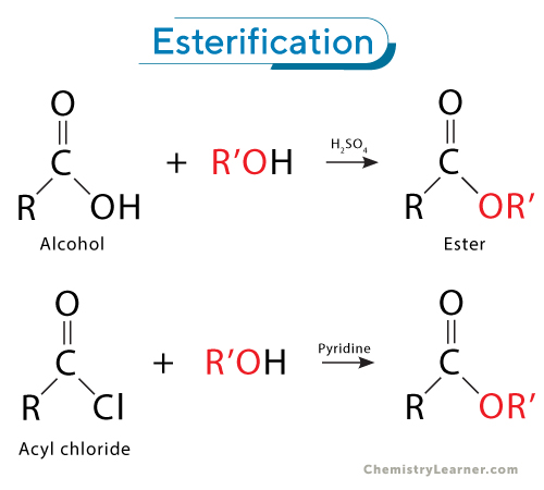 Esterification